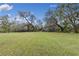 Large backyard with mature trees and lush grass at 14018 Pine Woods E Ln, Sarasota, FL 34240