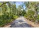 Long driveway through a wooded area leading to a home at 14018 Pine Woods E Ln, Sarasota, FL 34240