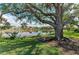 Tree in backyard overlooking the lake and green lawn at 4749 Antler Trl, Sarasota, FL 34238