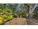 Backyard featuring a swing set and tropical plants at 5180 Meldon Cir, Sarasota, FL 34232