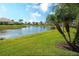 Lush green backyard with a serene lake view, perfect for relaxation and outdoor enjoyment at 6063 Benevento Dr, Sarasota, FL 34238