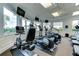 Well-equipped fitness center with cardio machines and scenic views, enhancing the workout experience for residents at 6063 Benevento Dr, Sarasota, FL 34238