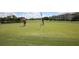 Golfers putting on a well-maintained green with surrounding trees and a view of nearby residential buildings at 8755 Olde Hickory Ave # 7302, Sarasota, FL 34238