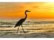 Beautiful beach view featuring a heron wading near the ocean at sunset, capturing the essence of coastal living at 1035 Seaside Dr # 503, Sarasota, FL 34242