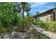 Brick pathway with lush landscaping and tropical plants at 1155 Hampton Rd, Sarasota, FL 34236