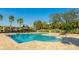 A large community pool with lounge chairs surrounded by lush landscaping and tall palm trees at 14318 Fissore Blvd, Wimauma, FL 33598