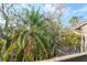 Picturesque view from the deck showcasing lush tropical landscaping and mature trees under a partly cloudy blue sky at 1447 Landings Cir # 68, Sarasota, FL 34231