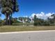 Beautiful community featuring a tranquil lake and lush tropical landscaping with mature palm trees under sunny skies at 2930 Tuckerstown Dr, Sarasota, FL 34231