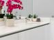 Close up of the counters of a modern bathroom, decorated with plants and modern faucets at 301 Quay Commons # 1809, Sarasota, FL 34236