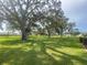 Expansive green lawn shaded by mature trees draped with Spanish moss in a serene setting at 3739 Collins St # 701, Sarasota, FL 34232