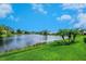 Beautiful lake surrounded by palm trees, lush greenery, and stunning blue sky at 4244 Reflections Pkwy, Sarasota, FL 34233