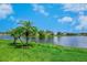 Scenic view of a lake with palm trees, green grass, and a blue sky at 4244 Reflections Pkwy, Sarasota, FL 34233