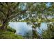 Scenic lake view framed by a large tree draped with Spanish moss at 4768 Tivoli Ave, Sarasota, FL 34235