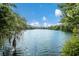 Expansive lake view surrounded by lush greenery and a bright blue sky at 4768 Tivoli Ave, Sarasota, FL 34235