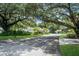 Picturesque street featuring lush landscaping and mature trees at 4768 Tivoli Ave, Sarasota, FL 34235