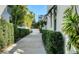 Long driveway lined with manicured hedges leading to a modern home with lush tropical landscaping at 515 S Osprey Ave, Sarasota, FL 34236