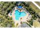 Aerial view of resort-style pool with lounge chairs and landscaping at 5866 Bungalow Grove Ct, Palmetto, FL 34221