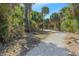 Walking path through a natural area with lush, tropical foliage at 12410 Osorio Ct # 201, Sarasota, FL 34238