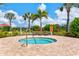 Community hot tub and lounge area with palm trees and lush landscaping at 12675 Richezza Dr, Venice, FL 34293