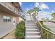 Exterior view of a stairwell leading to residential units, surrounded by lush greenery and palm trees at 2 Causeway Blvd # 206, Dunedin, FL 34698