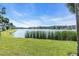 Green lawn with view of the lake and condo buildings in the background on a sunny day at 3050 Lake Bayshore Dr # O-108, Bradenton, FL 34205