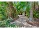 Tropical walkway to a light, bright back entry, surrounded by mature palm trees, vines and Florida foliage at 3705 Tangier Ter, Sarasota, FL 34239