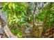 Charming stone path surrounded by lush greenery, leading to the home in a serene tropical setting at 3705 Tangier Ter, Sarasota, FL 34239