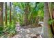 Paved walkway through a lush tropical backyard, connecting to the home and highlighting the natural beauty at 3705 Tangier Ter, Sarasota, FL 34239