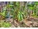 Stone walkway through a tropical yard, leading to a home surrounded by lush greenery and mature trees at 3705 Tangier Ter, Sarasota, FL 34239