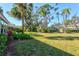 Serene backyard with green lawn, towering palm trees, and distant roofline at 5718 Garden Lakes Palm, Bradenton, FL 34203