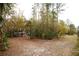 View of the backyard showing the chicken coop and surrounding wooded area at 8570 Tropicaire Blvd, North Port, FL 34291