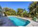 Beautiful pool with clear blue water, surrounded by palm trees and providing a serene backyard oasis at 8727 Grey Oaks Ave, Sarasota, FL 34238