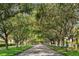 Picturesque street view with lush trees forming a canopy over the road and sidewalks at 8849 Etera Dr, Sarasota, FL 34238