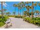 Inviting beach entrance framed by lush greenery and swaying palm trees at 225 Sands Point Rd # 6204, Longboat Key, FL 34228