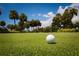 Close-up of a golf ball on lush green golf course with palm trees at 225 Sands Point Rd # 6204, Longboat Key, FL 34228