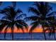 Stunning sunset view over the ocean, framed by silhouette palm trees creating a tropical paradise at 435 L Ambiance Dr # L807, Longboat Key, FL 34228
