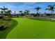 Enjoy a round of putting on this artificial turf at 5429 Mystic Water Cv, Bradenton, FL 34211