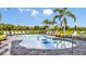 Curved pool surrounded by palm trees at 9113 Night Skye Ave, Sarasota, FL 34241