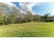 Wide shot of the grass in the back yard, showcasing mature trees at 12514 Goldenrod Ave, Bradenton, FL 34212