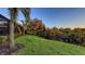 Expansive backyard featuring lush green grass, mature trees, and privacy landscaping at 14510 Leopard Creek Pl, Lakewood Ranch, FL 34202