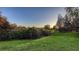 Tranquil backyard featuring lush green grass and mature trees, offering a private and serene outdoor space at 14510 Leopard Creek Pl, Lakewood Ranch, FL 34202