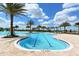 Resort-style pool with designated lap lanes and palm trees that create a perfect setting for relaxation and exercise at 14510 Leopard Creek Pl, Lakewood Ranch, FL 34202