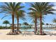 Community pool area with tropical palm trees, lounge seating, and a colorful splash pad for  at 14510 Leopard Creek Pl, Lakewood Ranch, FL 34202