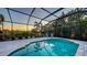Enclosed pool featuring clear water, poolside lounge chairs, and tropical landscaping at 14510 Leopard Creek Pl, Lakewood Ranch, FL 34202