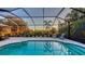 Relaxing screened-in pool area offering a sparkling pool, comfortable lounge chairs, and lush scenery at 14510 Leopard Creek Pl, Lakewood Ranch, FL 34202