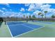 Well-maintained pickleball courts featuring blue and green surfaces, surrounded by netting and greenery under a bright sky at 15115 Montello Way, Lakewood Ranch, FL 34211