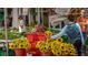 Lively farmers market with fresh produce and vibrant sunflowers, creating a community gathering place at 211 Cosmopolitan Ct # 211, Sarasota, FL 34236