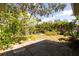 Lush backyard features tropical landscaping, patio, and mature shade tree canopy at 2903 Mayflower St, Sarasota, FL 34231