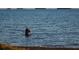 View of a fisherman standing in the Intracoastal waterway at sunset at 460 S Paula Dr # 304, Dunedin, FL 34698