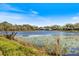 Idyllic lake view with serene water and green vegetation at 8579 Woodbriar Dr, Sarasota, FL 34238